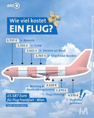 Bert Groner Glosse - Flugsimulation: Ein Low Cost Hobby?